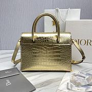 Bagsaaa Dior St Honore Gold Crocodile 30x22.5x16 - 2