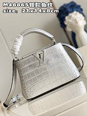 Bagsaaa Louis Vuitton Capucines BB Crocodile in Silver - 21x14x8cm - 2