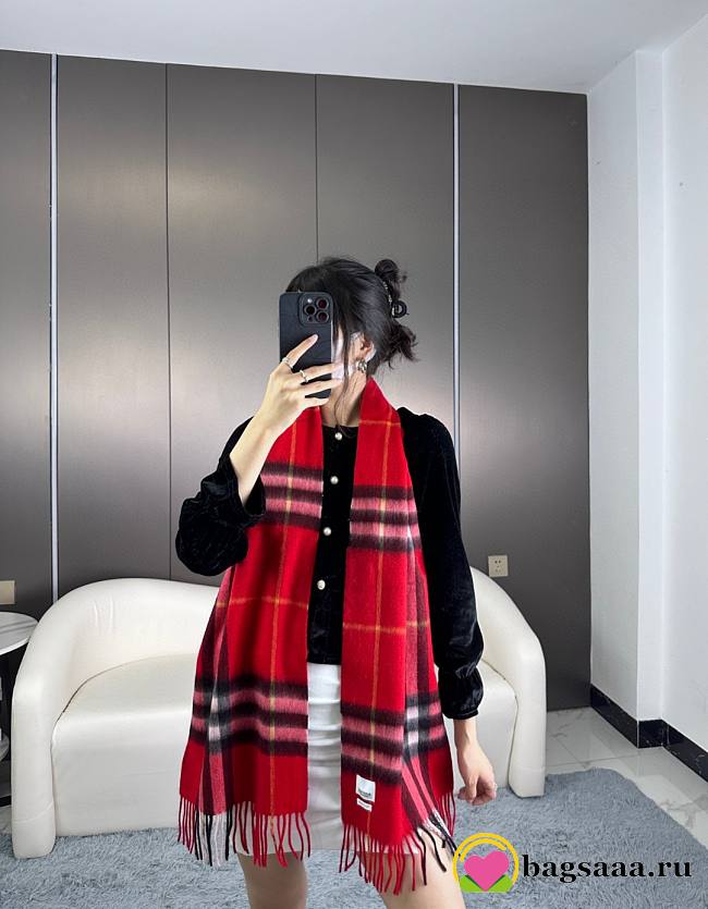 Bagsaaa Burberry Red Striped Scarf  - 1