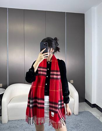 Bagsaaa Burberry Red Striped Scarf 