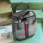 Bagsaaa Gucci Gucci Savoy duffle bag in beige and ebony - 36x 48x 21.5cm - 6