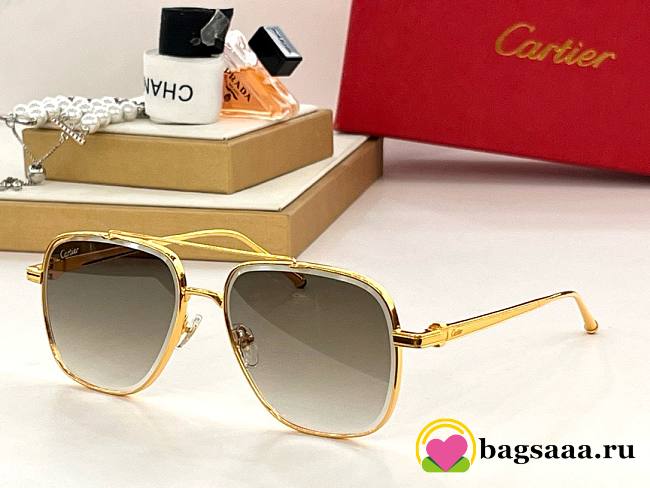 Bagsaaa Cartier Sunglasses - 6 styles - 1