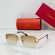Bagsaaa Cariter Sunglasses 6 colors - 5