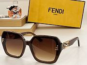 Bagsaaa Fendi Sunglasses - 6