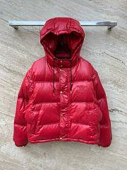 Bagsaaa Celine Down Jacket In Red With Removable  Sleeves - 1
