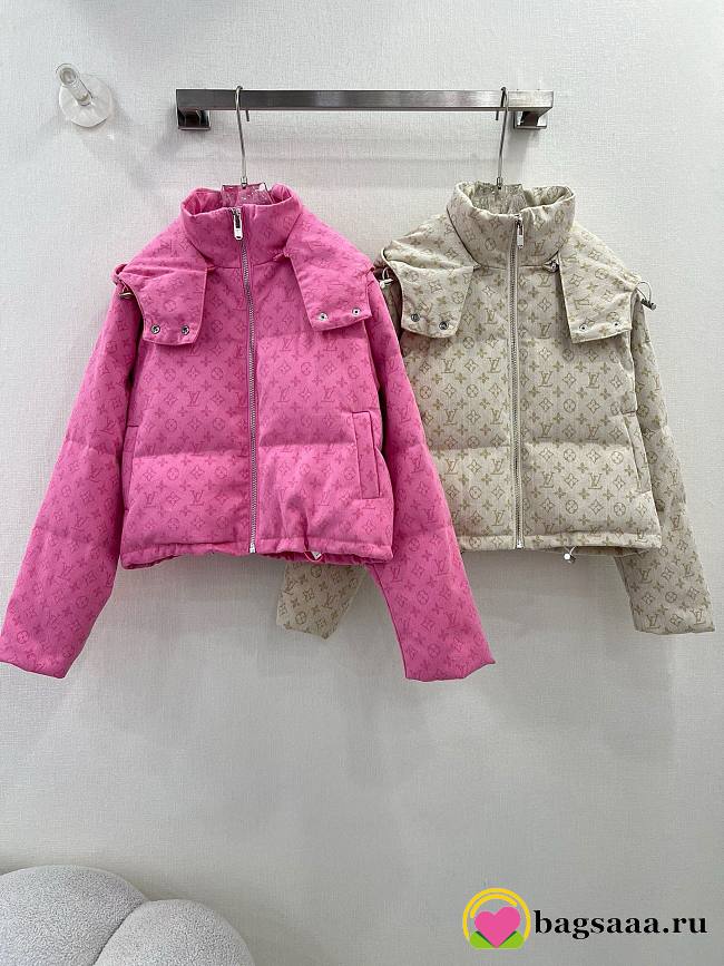 Bagsaaa Louis Vuitton Down Jacket Monogram - 1