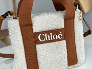 	 Bagsaaa Chloe Woody Shearling Tote In Brown - 25x20x8cm - 2