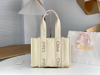Bagsaaa Chloe Medium Woody Tote Bag Nylon White - 37x26x12cm