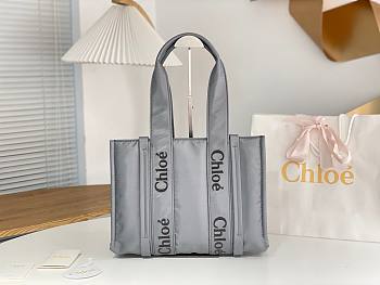 Bagsaaa Chloe Medium Woody Tote Bag Nylon Grey - 37x26x12cm