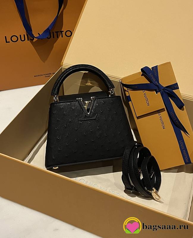 Bagsaaa Louis Vuitton Capucines Ostrich Leather  - 1