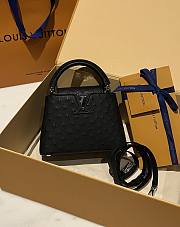 Bagsaaa Louis Vuitton Capucines Ostrich Leather  - 2