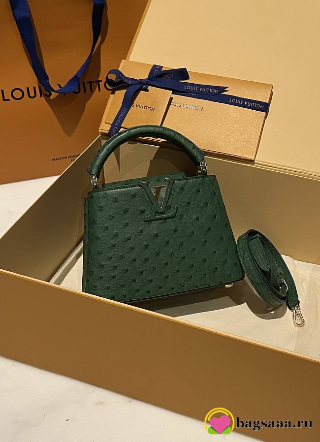 Bagsaaa Louis Vuitton Capucines Ostrich Leather Blue  - 1