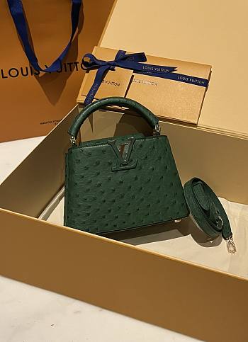 Bagsaaa Louis Vuitton Capucines Ostrich Leather Blue 