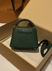Bagsaaa Louis Vuitton Capucines Ostrich Leather Blue  - 5