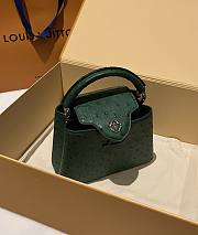 Bagsaaa Louis Vuitton Capucines Ostrich Leather Blue  - 3