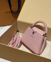 	 Bagsaaa Louis Vuitton Capucines Ostrich Leather Pink - 3