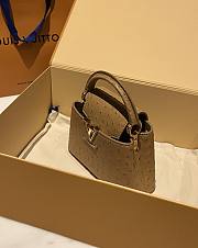 	 Bagsaaa Louis Vuitton Capucines Ostrich Leather Brown - 6