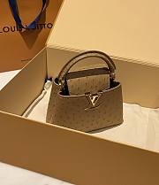 	 Bagsaaa Louis Vuitton Capucines Ostrich Leather Brown - 5