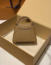 	 Bagsaaa Louis Vuitton Capucines Ostrich Leather Brown - 4