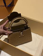 	 Bagsaaa Louis Vuitton Capucines Ostrich Leather Brown - 3