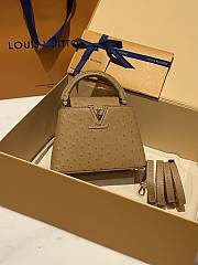 	 Bagsaaa Louis Vuitton Capucines Ostrich Leather Brown - 2