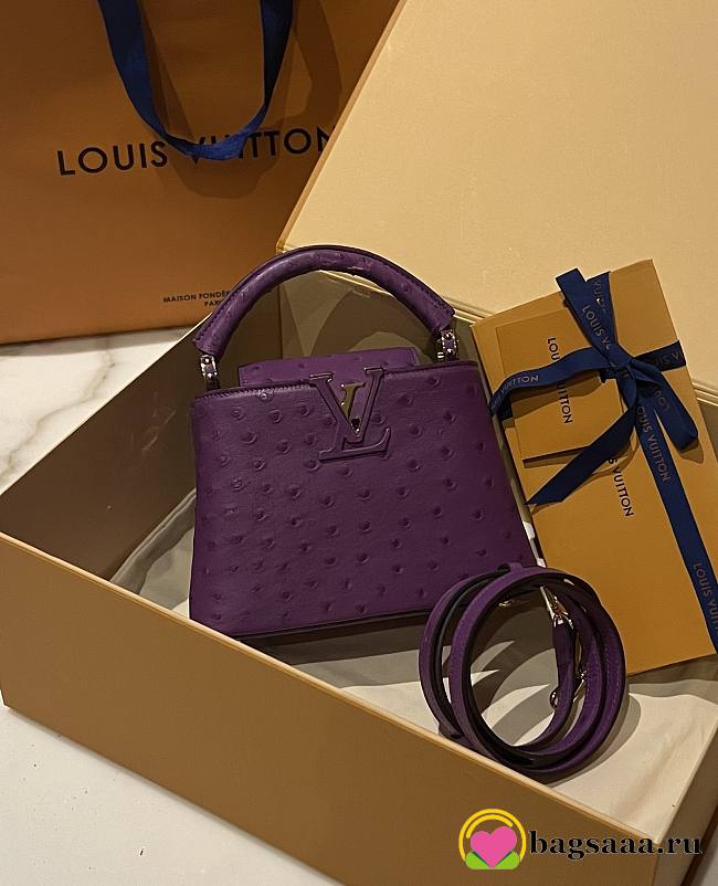 	 Bagsaaa Louis Vuitton Capucines Ostrich Leather Purple - 1