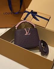 Bagsaaa Louis Vuitton Capucines Ostrich Leather Purple & Pink - 3