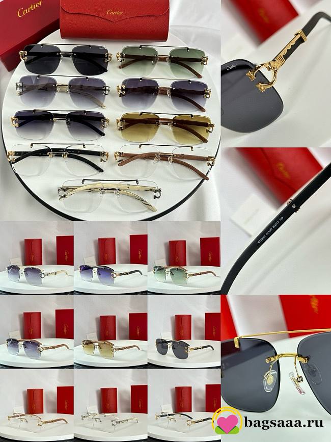 Bagsaaa Cartier Sunglasses 03 - 1