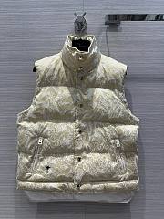 Bagsaaa Dior Alps Puffer Vest White Gold-Tone Allover Butterfly Motif - 1