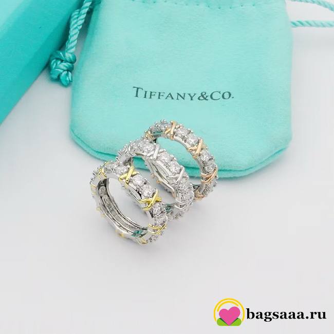 Bagsaaa Tiffany & Co. Schlumberger Sixteen Stone Ring - 1