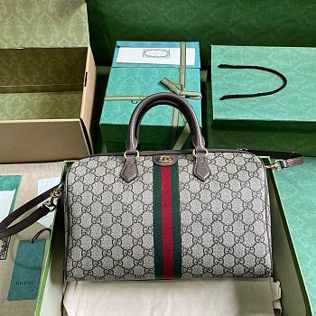 Bagsaaa Gucci Ophidia GG Ebony Top Handle Bag Brown - 20x31x16.5cm