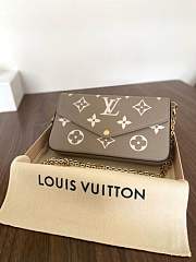 Bagsaaa Louis Vuitton M82610 Félicie Pochette Gray/Cream - 21*12*3cm - 1