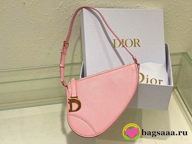 Bagsaaa Dior Saddle Rodeo Pouch Pink Goatskin - 20 x 15 x 4 cm - 1