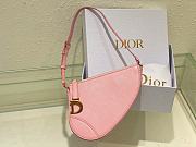Bagsaaa Dior Saddle Rodeo Pouch Pink Goatskin - 20 x 15 x 4 cm - 1