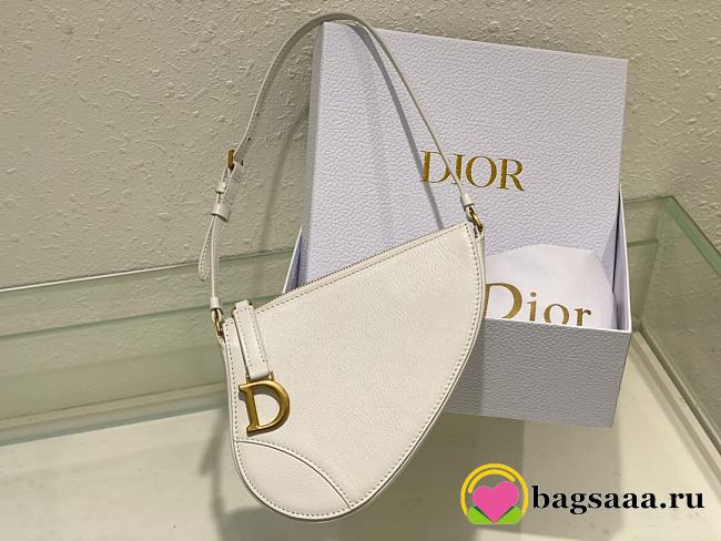 Bagsaaa Dior Saddle Rodeo Pouch White Goatskin - 20 x 15 x 4 cm - 1