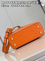 Bagsaaa Louis Vuitton Mini Capucines Orange - 21*14*8 cm - 5