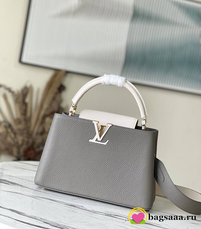 Bagsaaa Louis Vuitton M21296 Capucines MM Gray - 31.5 x 20 x 11 cm - 1