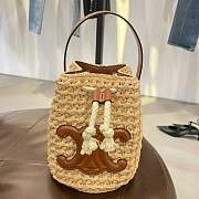 Bagsaaa Celine Teen Drawstring In Raffia And Calfskin - 3