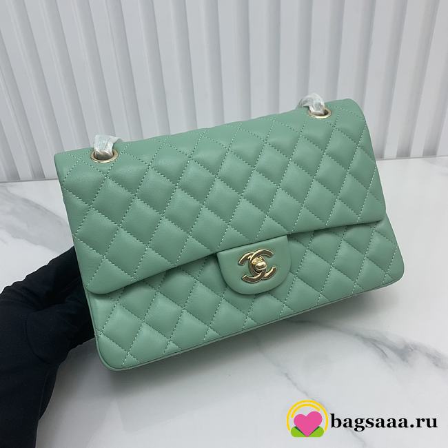 Bagsaaa Chanel Flap Bag Light Green Lambskin - 25cm - 1