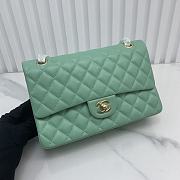 Bagsaaa Chanel Flap Bag Light Green Lambskin - 25cm - 1