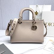 Bagsaaa Dior Medium Lady D-Sire My ABCDior Bag Beige Bull Leather - 30 x 20 x 13 cm - 1