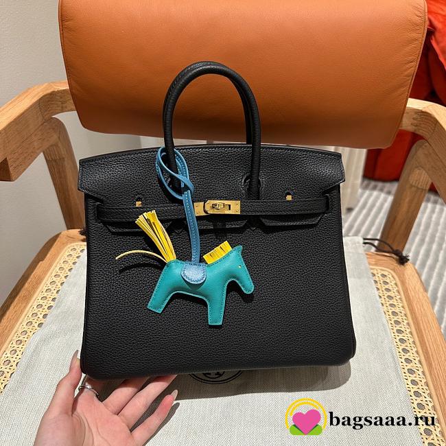 Bagsaaa Hermes Birkin Black Togo & Gold Hardware - 25cm - 1