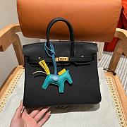 Bagsaaa Hermes Birkin Black Togo & Gold Hardware - 25cm - 1