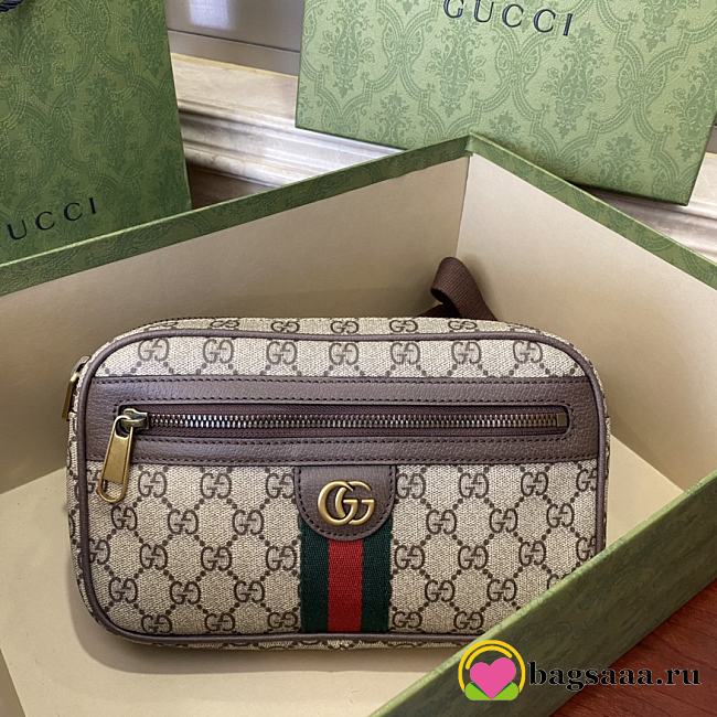 Bagsaaa Gucci Ophidia GG Belt Bag 574796 - 24x14x5.5cm - 1