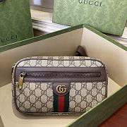 Bagsaaa Gucci Ophidia GG Belt Bag 574796 - 24x14x5.5cm - 1