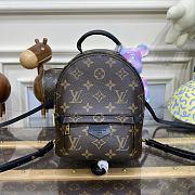 Bagsaaa Louis Vuitton M44873 Palm Springs Mini Backpack Monogram - 17 x 22 x 10 cm - 1