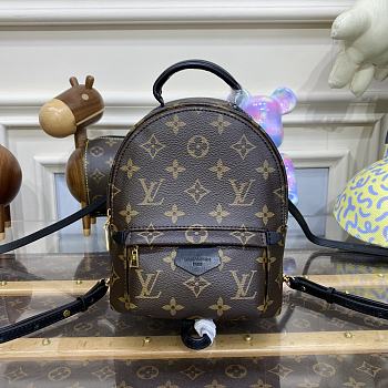 Bagsaaa Louis Vuitton M44873 Palm Springs Mini Backpack Monogram - 17 x 22 x 10 cm