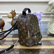 Bagsaaa Louis Vuitton M44873 Palm Springs Mini Backpack Monogram - 17 x 22 x 10 cm - 3