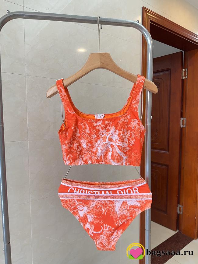 Bagsaaa Dior Bikini 01 - 1