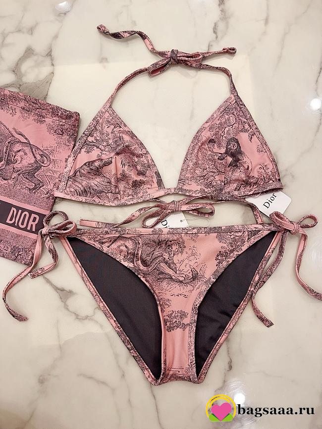 Bagsaaa Dior Bikini 04 - 1